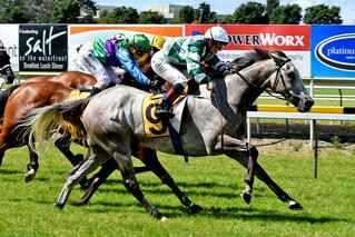 Group Three Win For $5,200 Purchase Our King Sway (NZ). Photo: Race Images, Palmerston North.